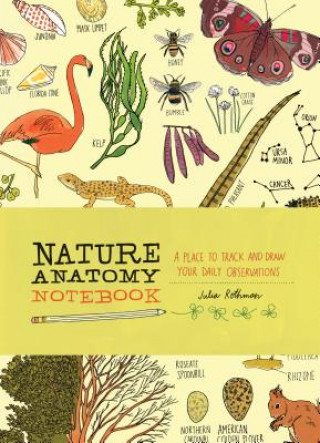 Kniha Nature Anatomy Notebook: A Place to Track and Draw Your Daily Observations Julia Rothman