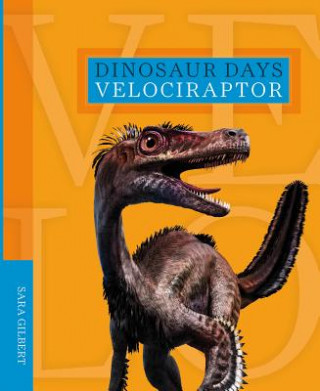 Kniha Velociraptor Sara Gilbert