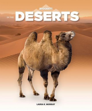 Buch In the Deserts Laura K. Murray