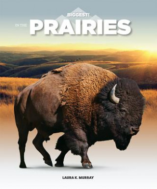 Libro In the Prairies Laura K. Murray