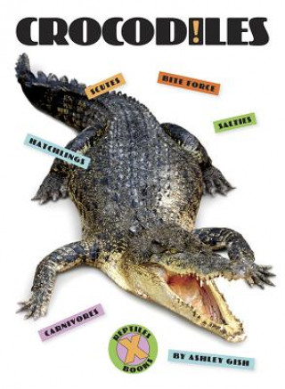 Kniha Crocodiles Ashley Gish