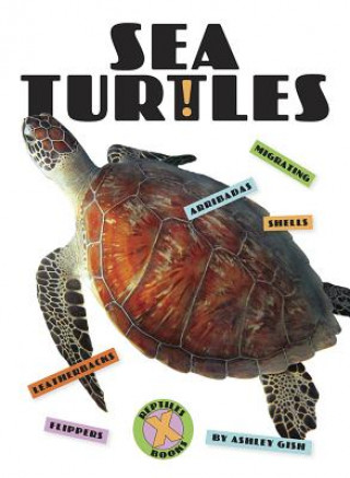 Knjiga Sea Turtles Ashley Gish