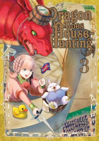 Kniha Dragon Goes House-Hunting Vol. 3 Kawo Tanuki