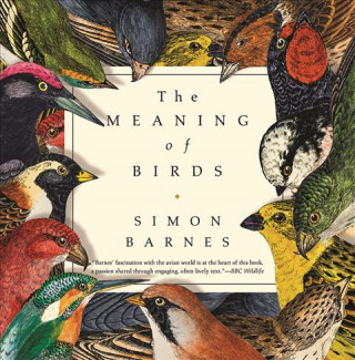 Kniha The Meaning of Birds Simon Barnes