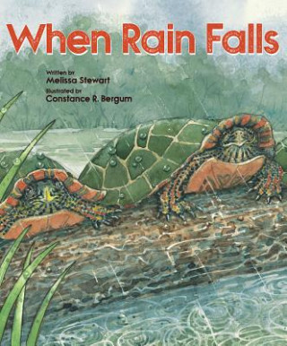 Libro When Rain Falls Melissa Stewart