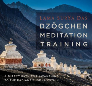 Аудио Dzogchen Meditation Training Lama Surya Das