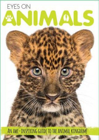 Libro Eyes On Animals Courtney Acampora