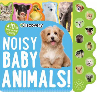 Carte Discovery: Noisy Baby Animals! Editors of Silver Dolphin Books