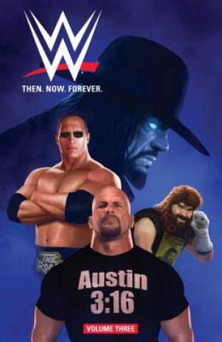 Knjiga WWE: Then Now Forever Vol. 3 Aaron Gillespie