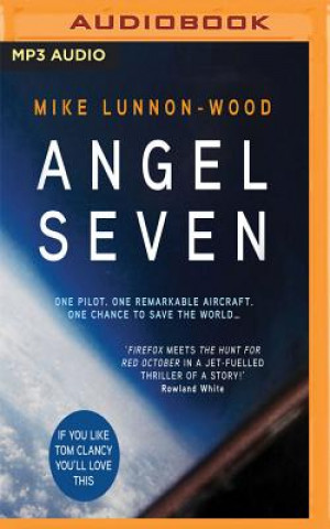Digital ANGEL SEVEN Mike Lunnon-Wood