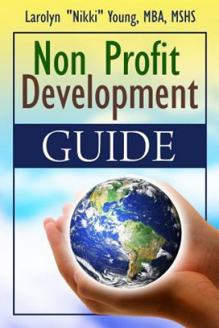 Knjiga Non-Profit Development Guide Larolyn Young