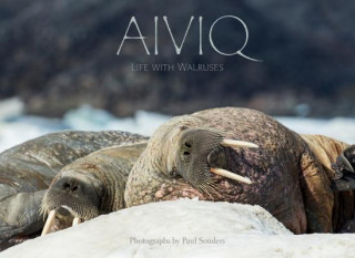 Kniha Aiviq: Life With Walruses Paul Souders