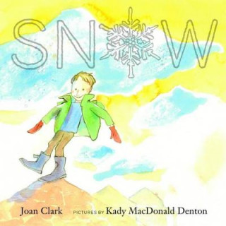 Kniha Snow Joan Clark