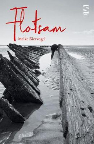 Book Flotsam Meike Ziervogel