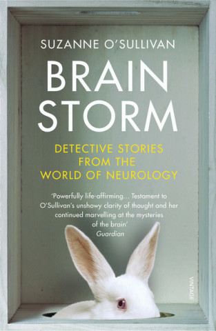 Kniha Brainstorm Suzanne O'Sullivan