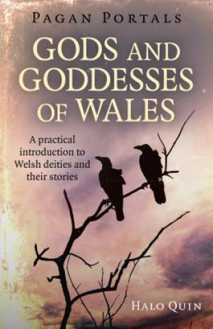 Carte Pagan Portals - Gods and Goddesses of Wales Halo Quin