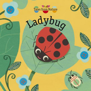 Knjiga Ladybug Magali Attiogbe