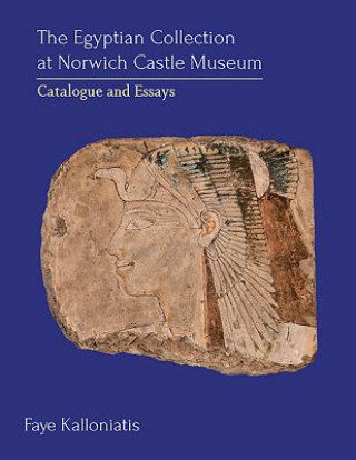 Kniha Egyptian Collection at Norwich Castle Museum Faye Kalloniatis