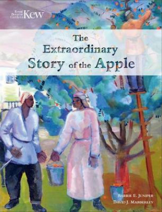 Książka Extraordinary Story of the Apple David Mabberley