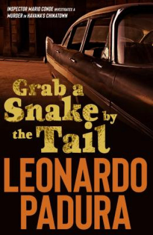 Carte Grab a Snake by the Tail Leonardo Padura