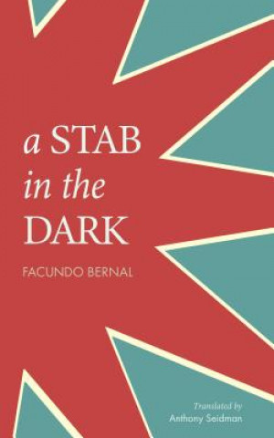Könyv Stab in the Dark Facundo Bernal