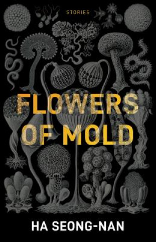 Könyv Flowers Of Mold & Other Stories Seong-Nan Ha