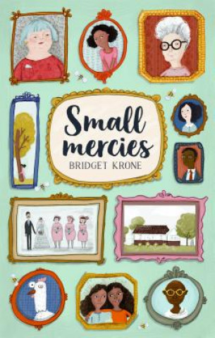 Książka Small Mercies Bridget Krone