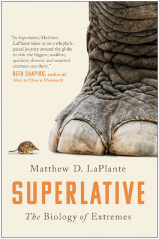 Könyv Superlative Matthew D. Laplante