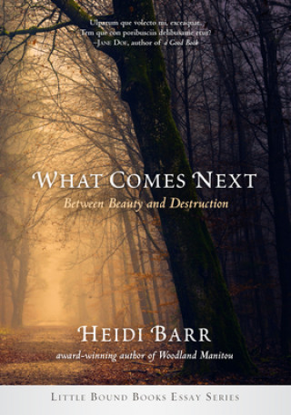 Carte What Comes Next Heidi Barr