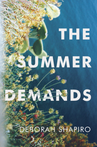 Kniha Summer Demands Deborah Shapiro