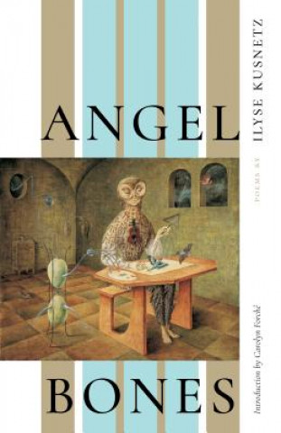 Knjiga Angel Bones Ilyse Kusnetz