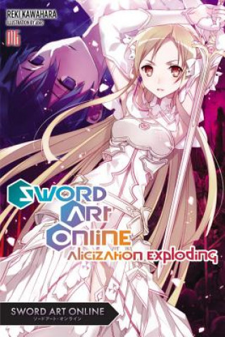Knjiga Sword Art Online, Vol. 16 (light novel) Reki Kawahara