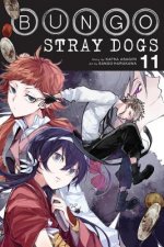 Könyv Bungo Stray Dogs, Vol. 11 Kafka Asagiri