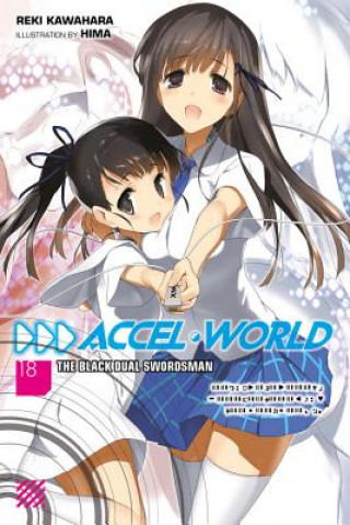 Könyv Accel World, Vol. 18 (light novel) Reki Kawahara
