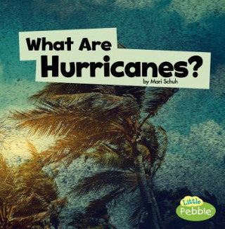 Book What Are Hurricanes? Mari C. Schuh