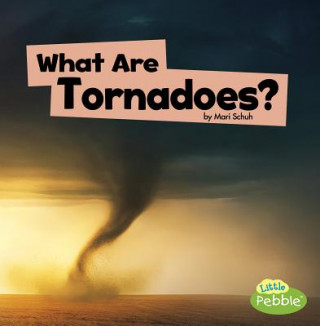 Kniha What Are Tornadoes? Mari C. Schuh