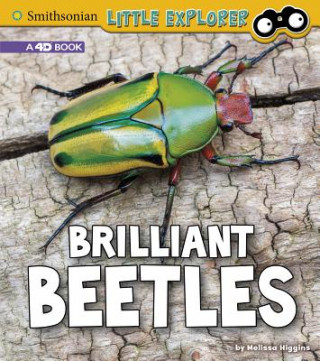 Kniha Brilliant Beetles: A 4D Book Melissa Higgins