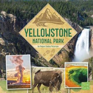 Kniha Yellowstone National Park Megan Cooley Peterson