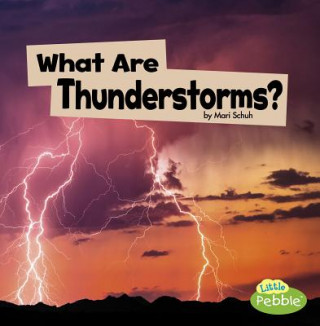 Knjiga What Are Thunderstorms? Mari C. Schuh