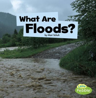 Kniha What Are Floods? Mari C. Schuh