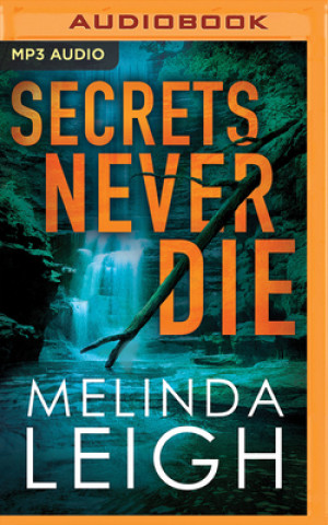 Digital SECRETS NEVER DIE Melinda Leigh