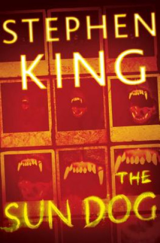 Kniha Sun Dog Stephen King