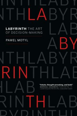 Livre Labyrinth Pawel Motyl