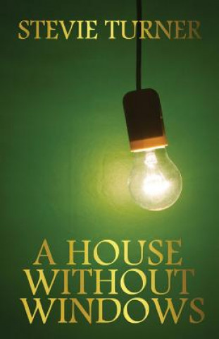 Knjiga House Without Windows Stevie Turner