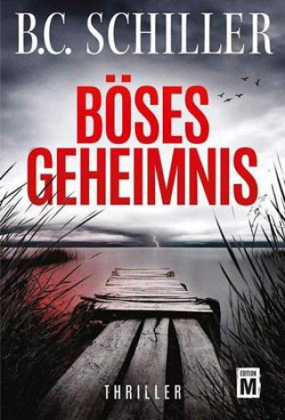 Boek Böses Geheimnis B. C. Schiller