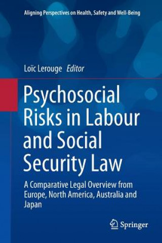 Knjiga Psychosocial Risks in Labour and Social Security Law Lo?c Lerouge