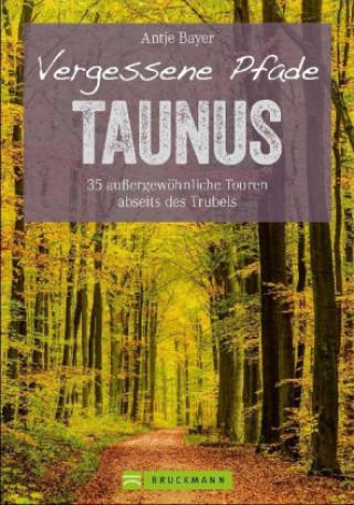 Knjiga Vergessene Pfade Taunus Antje Bayer