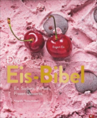 Kniha Die Eis-Bibel Yüksel Saier