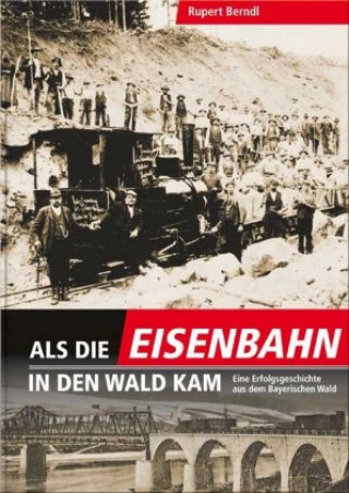 Kniha Als die Eisenbahn in den Wald kam Rupert Berndl