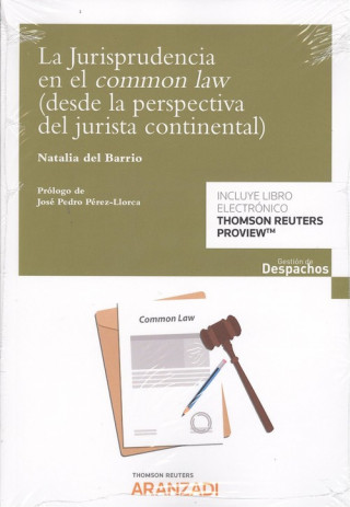 Kniha JURISPRUDENCIA EN EL COMMON LAW (DESDE LA PERSPECTIVA DEL JURISTA CONTINENTAL) NATALIA DEL BARRIO